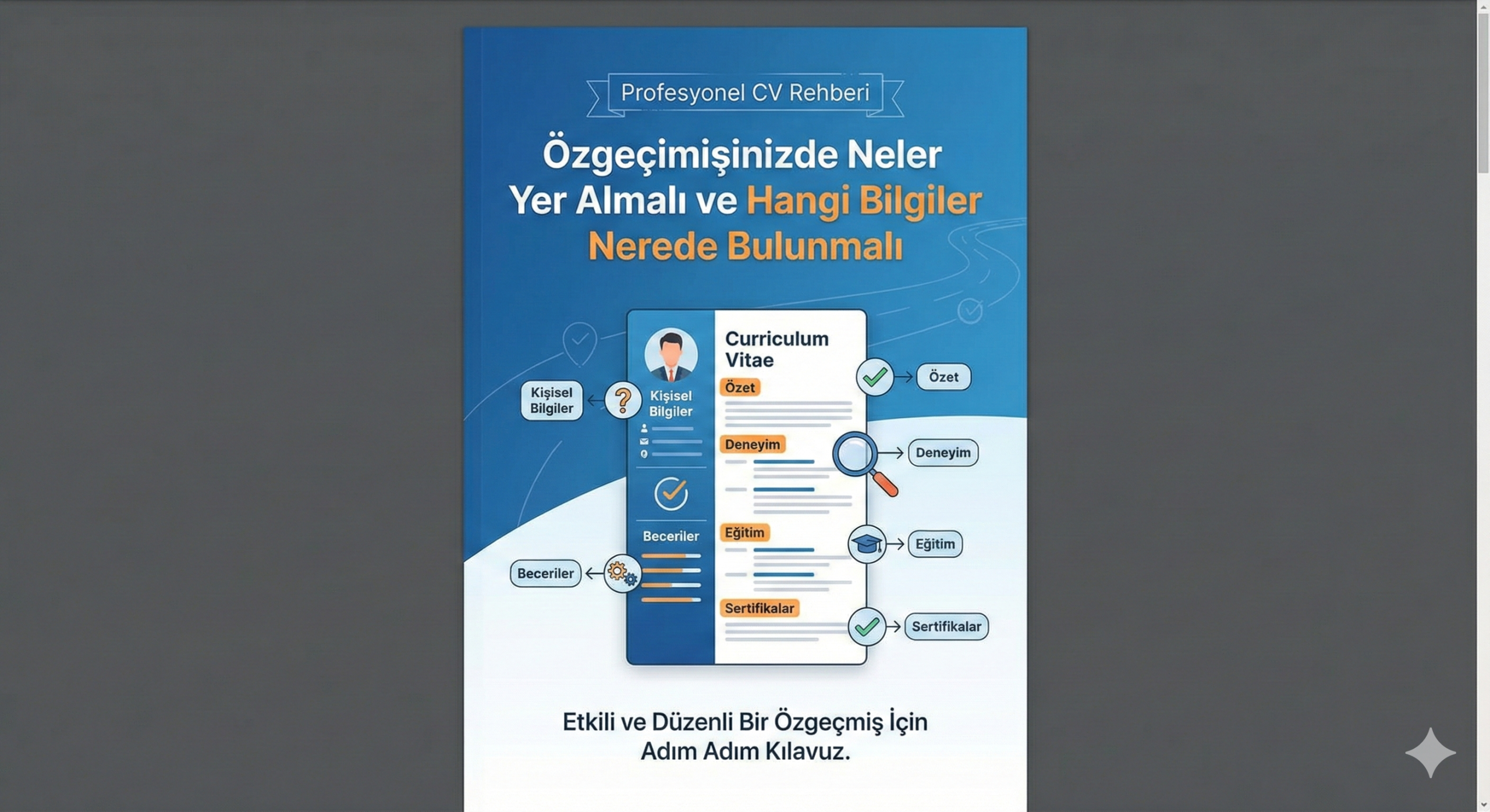 CV Yerleşimi Rehberi